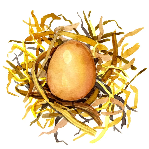 Csirke tojások a fészekben, szalma. — Stock Fotó