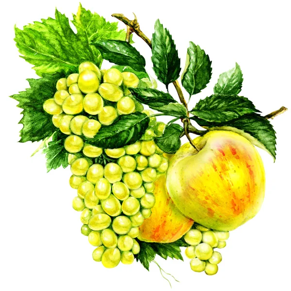 Apple with leaf and bunch of grapes — Stock Photo, Image