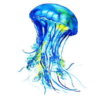 Ocean Water Jellyfish clipart