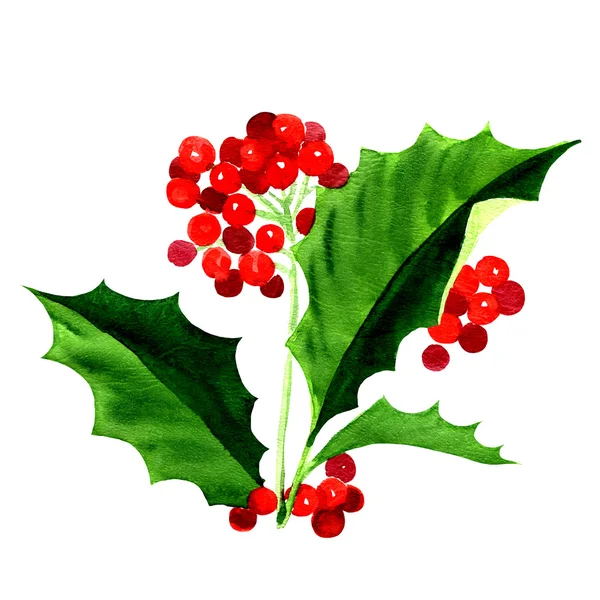 Holly berry pictogram, symbool van Kerstmis — Stockfoto