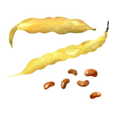 Yellow beans isolated on a white background clipart