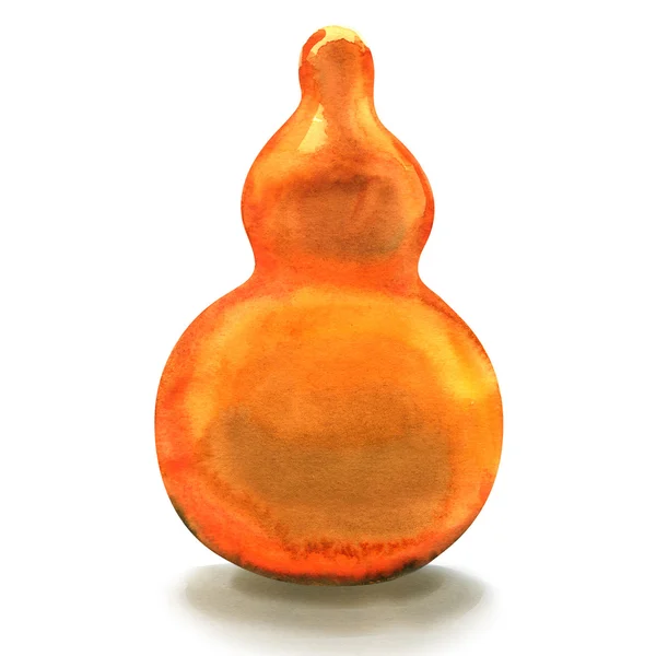 Orange flaska kalebass isolerad på en vit bakgrund — Stockfoto