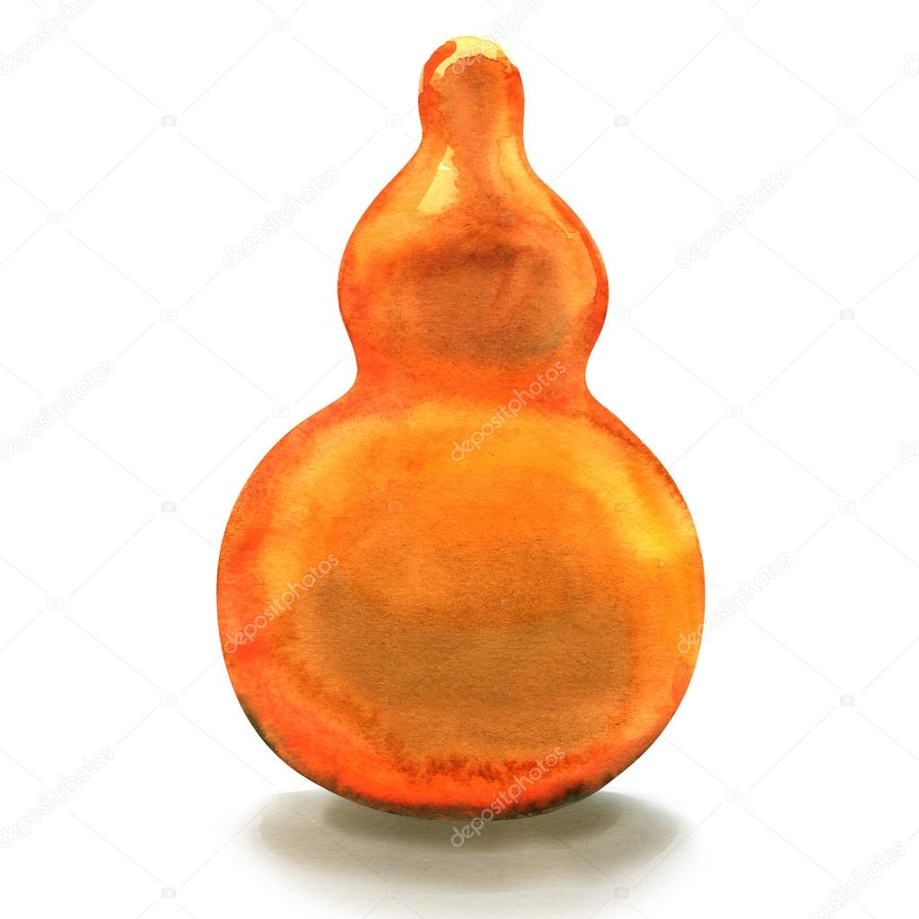 orange bottle gourd isolated on a white background