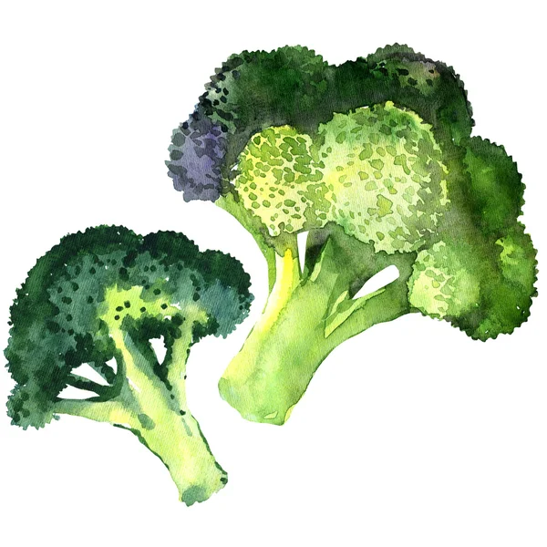 Sayuran brokoli diisolasi pada latar belakang putih — Stok Foto
