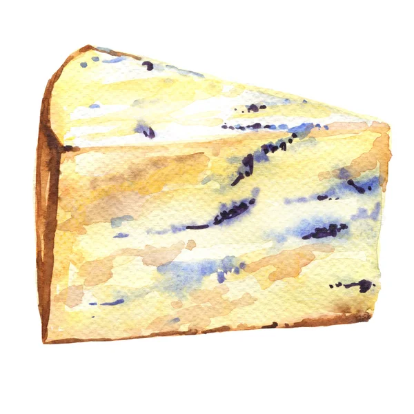Tranche de fromage français moisi — Photo