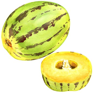 taze Pepino, solanum muricatum, izole