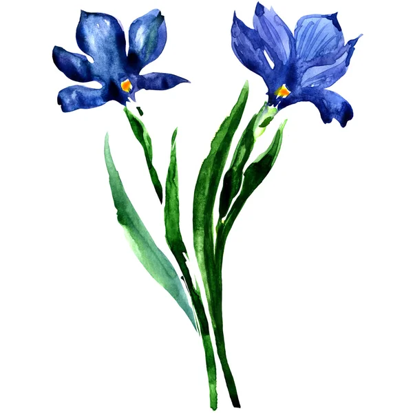 Flores azuis. Ilustração floral aquarela . — Fotografia de Stock