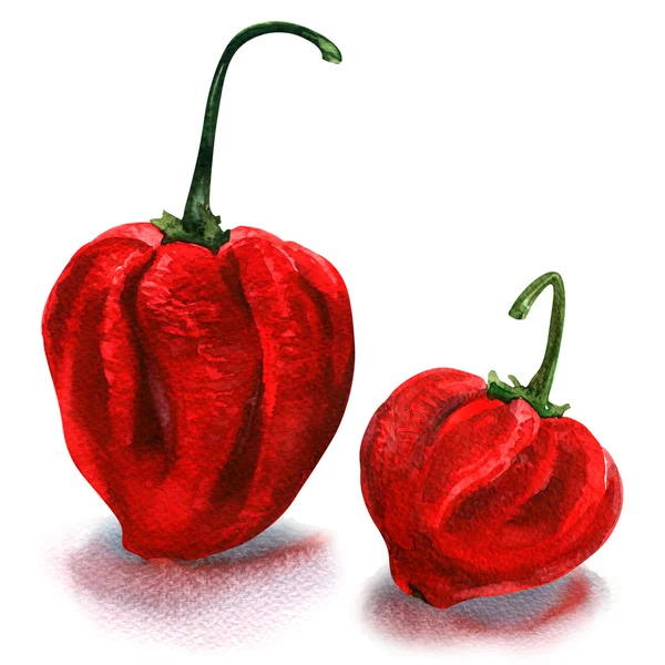 Paprika sladká mletá paprika na bílém pozadí — Stock fotografie