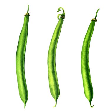 green beans on white background clipart