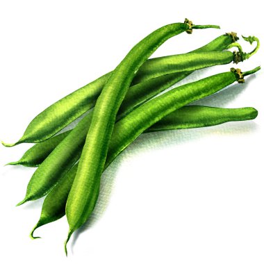 green beans on white background clipart