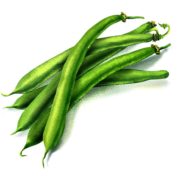 green beans on white background