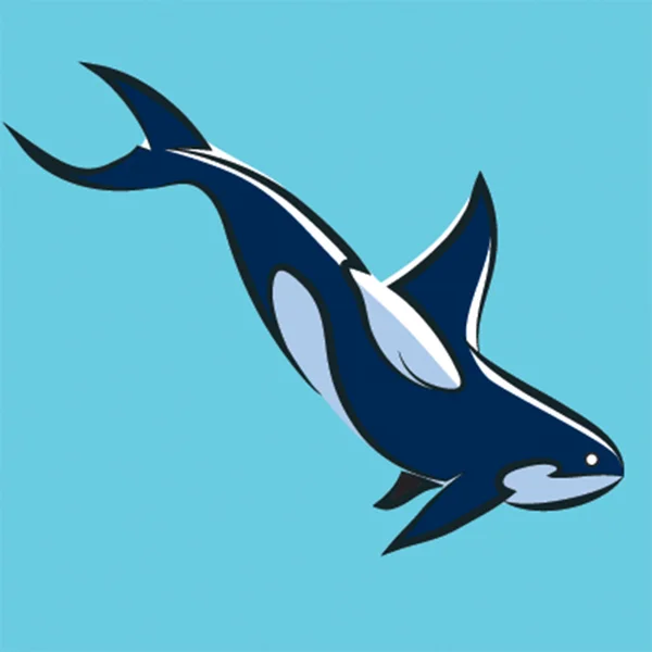 Grampus, springende Killer Whale, Orca Orcinus op blauwe backround — Stockvector