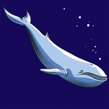 Vektör çizim, mavi Sperm üzerinde beyaz izole balina