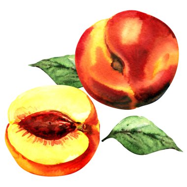 Güzel tüm şeftali ve beyaz arka plan üzerinde izole dilim