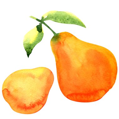 Beyaz zemin üzerinde olgun sarı armut