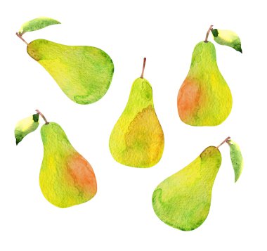 set of pears isolated, watercolor