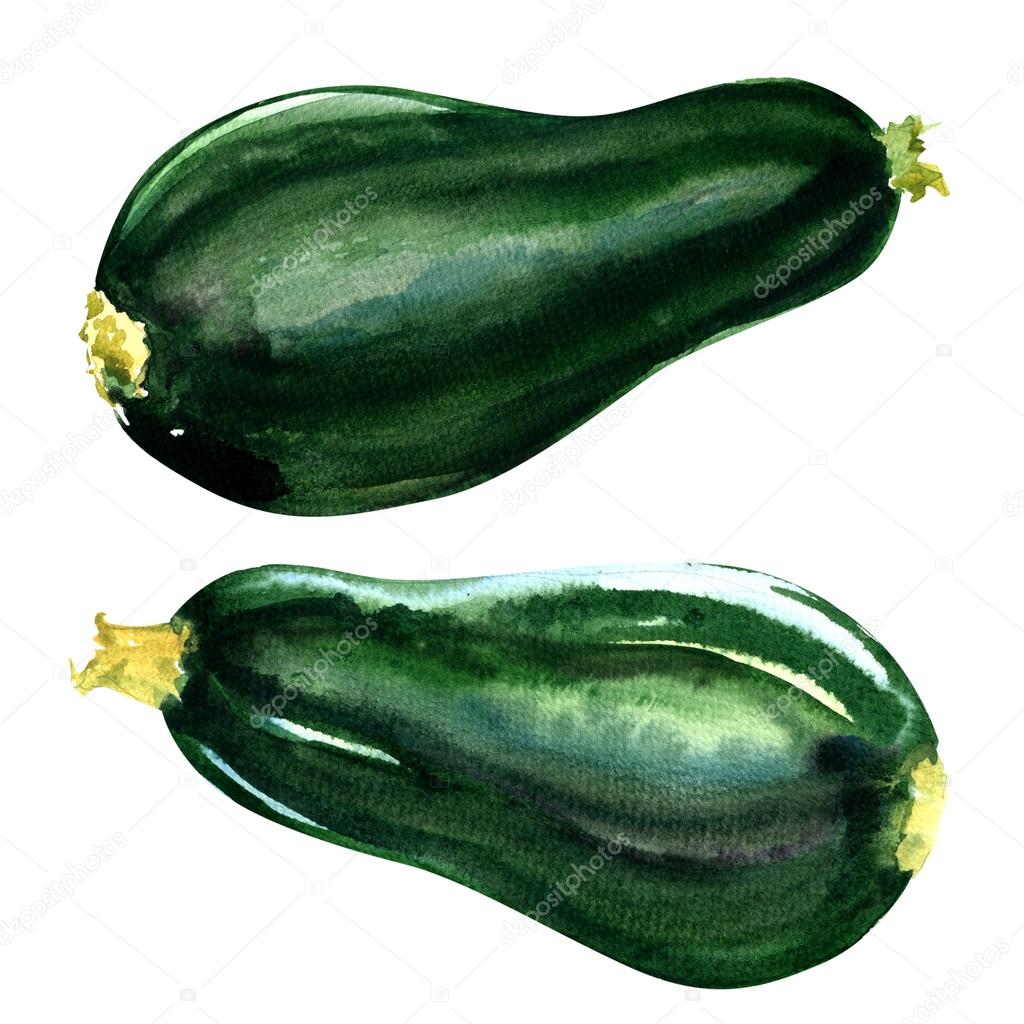 Fresh green zucchini isolated on white background