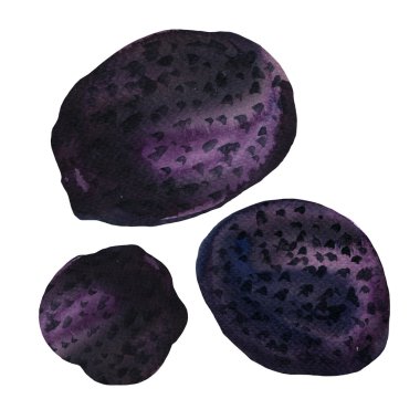 İzole üzerinde beyaz yer mantarı mantar ayarla