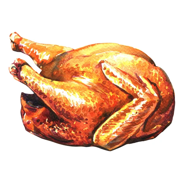 Roasted turkey on white background — Stock Photo, Image