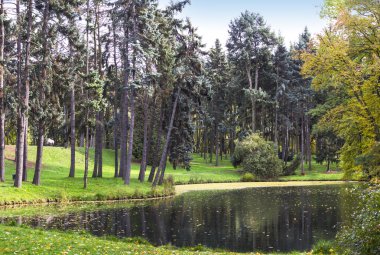 Sonbahar orman. Panoramik manzara