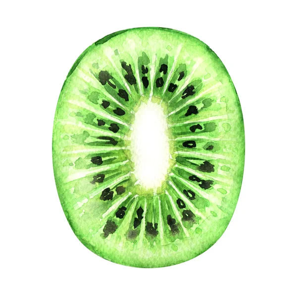 Rebanada de kiwi fresco aislado sobre fondo blanco —  Fotos de Stock