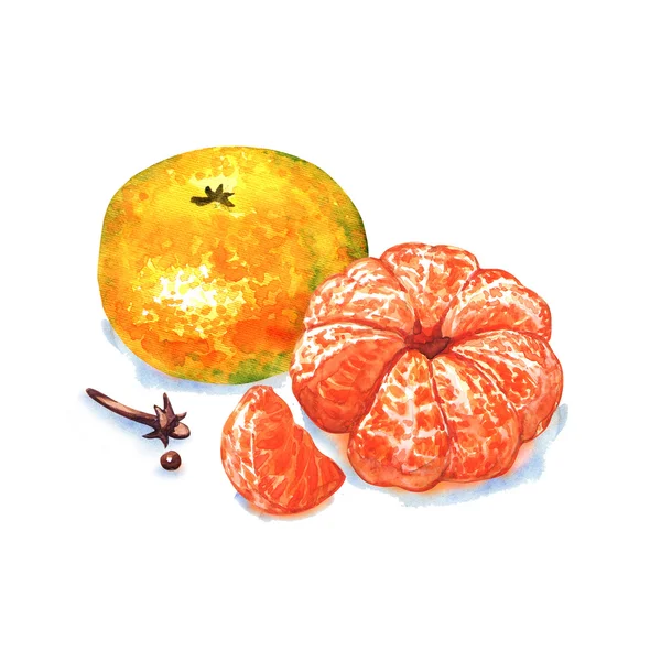 Tangerine ou mandarine isolée sur fond blanc — Photo