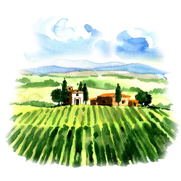 Rural landscape with fields vineyard and country house — Stock Photo, Image