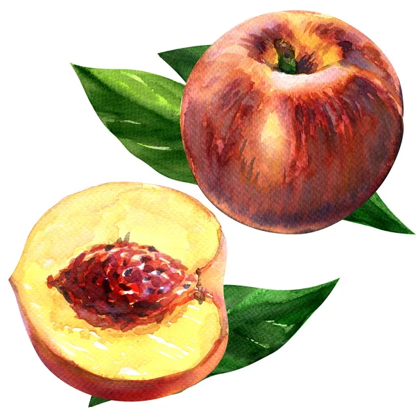 Färsk persika. Frukter med blad isolerad på vit bakgrund — Stockfoto