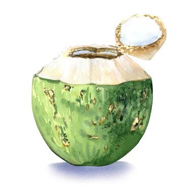 Green coconut, water drink clipart
