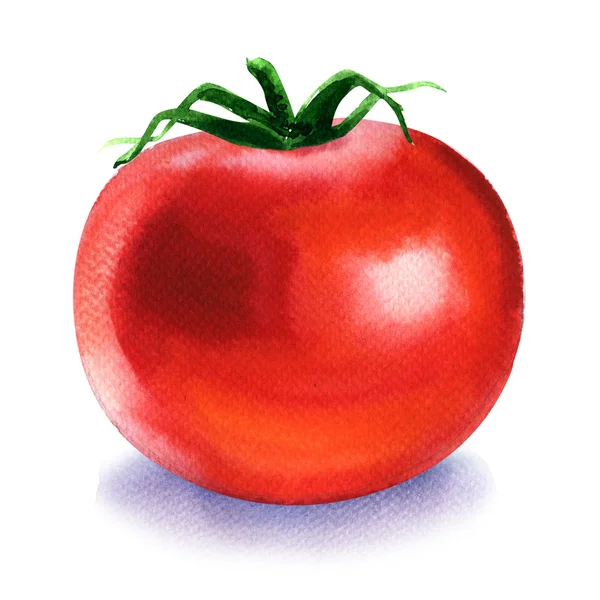 一个鲜红的西红柿，白色的 — 图库照片
