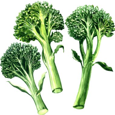 Üç yeşil bimi, brokoli, beyaz arka plan üzerinde izole