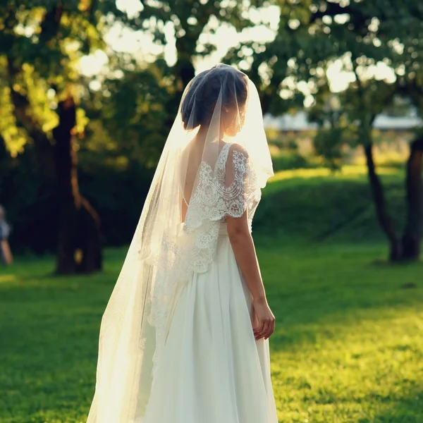 Giovane bella sposa — Foto Stock