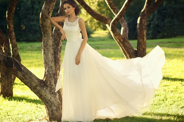 Giovane bella sposa — Foto Stock