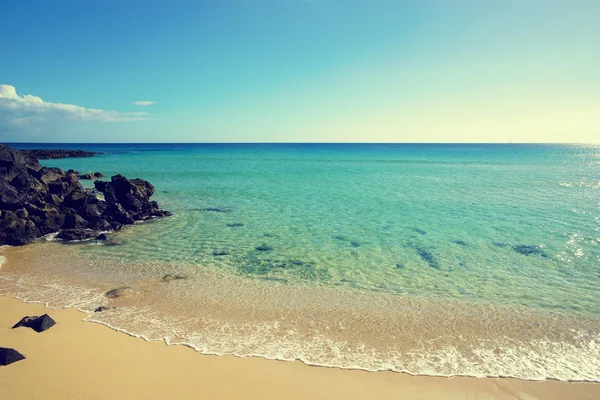 Tropisch strand op een zonnige dag — Stockfoto