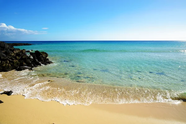 Tropischer Strand an einem sonnigen Tag — Stockfoto