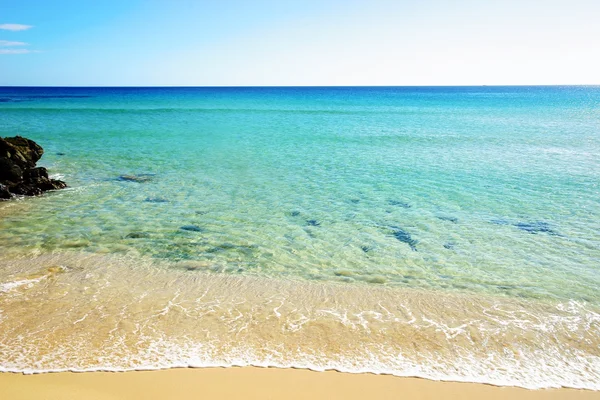 Tropisch strand op een zonnige dag — Stockfoto