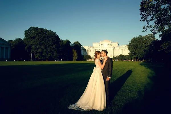 Novia y novio —  Fotos de Stock