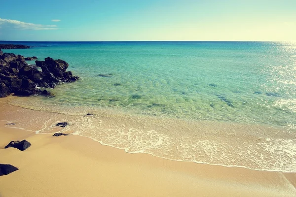 Tropisch strand op een zonnige dag — Stockfoto