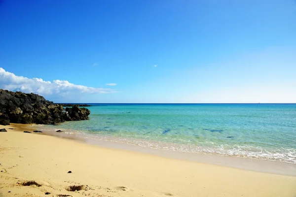 Tropisch strand op een zonnige dag — Stockfoto
