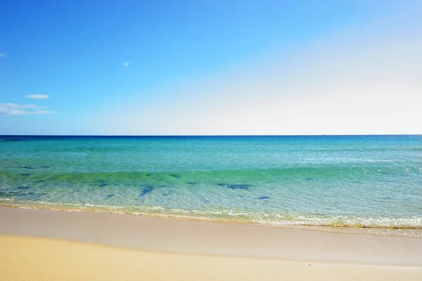 Tropischer Strand an einem sonnigen Tag — Stockfoto