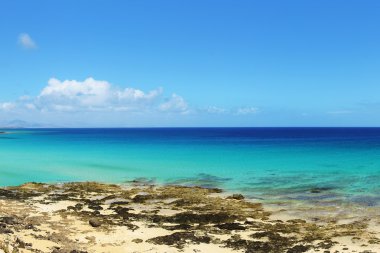 tropikal plaj manzara