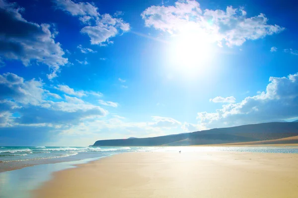 Schöner tropischer Strand — Stockfoto