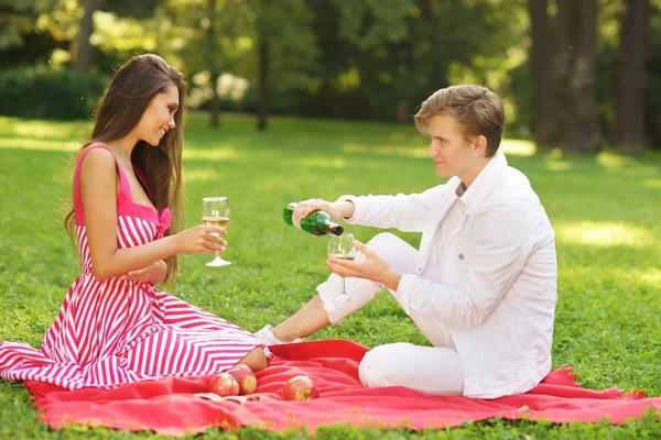 Unga par på picknick — Stockfoto