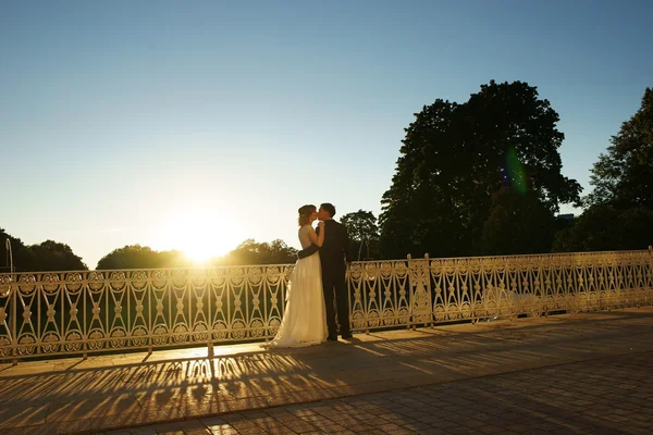 Pareja romántica recién casada —  Fotos de Stock