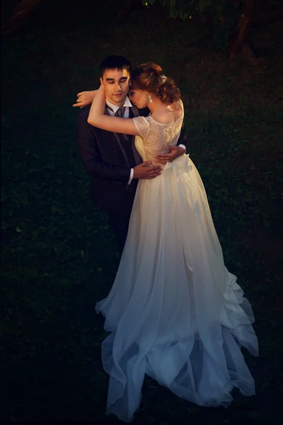 Baiser de mariage dans le parc — Photo