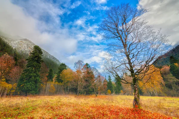 Herbst in Arkhyz — Stockfoto