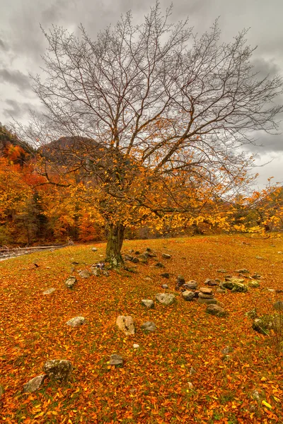 Herfst in Arkhyz — Stockfoto