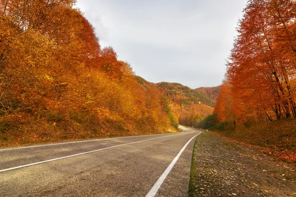 Camino rural vacío en Arkhyz — Foto de Stock