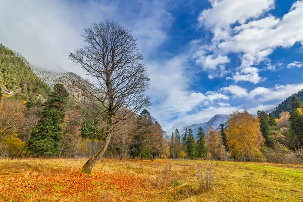 Herfst in Arkhyz — Stockfoto