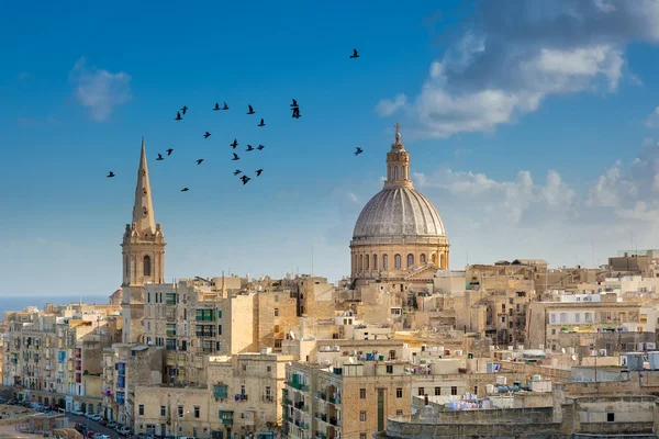 Valletta stad gebouwen met vogels vliegen Stockfoto